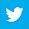 2013 Twitter Logo Icon 32x32