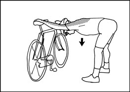 После катания на велосипеде болит. Езда на велосипеде мышцы. Мышцы задействованные при езде на велосипеде. Мышцы при катании на велосипеде. Группы мышц при езде на велосипеде задействованные.