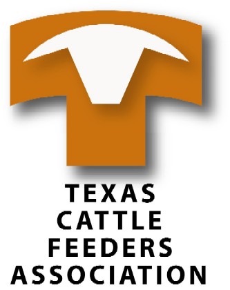 TXP Beefathon TCFA